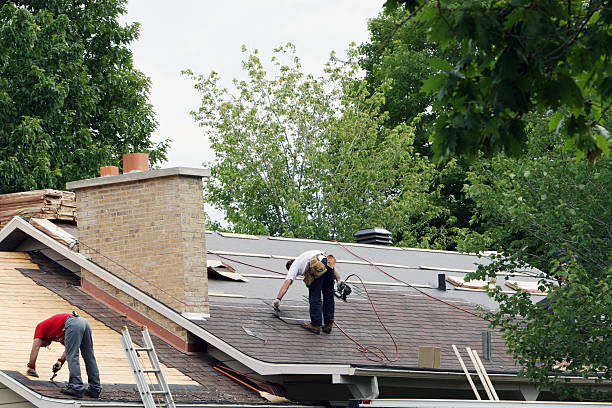 Best Roof Maintenance Services  in Fairbanks, AK